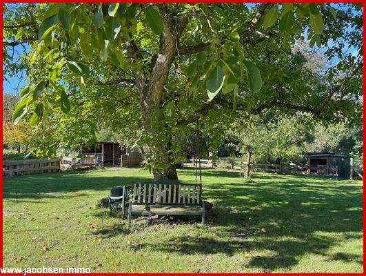 eigene Walnüsse gibt es auch