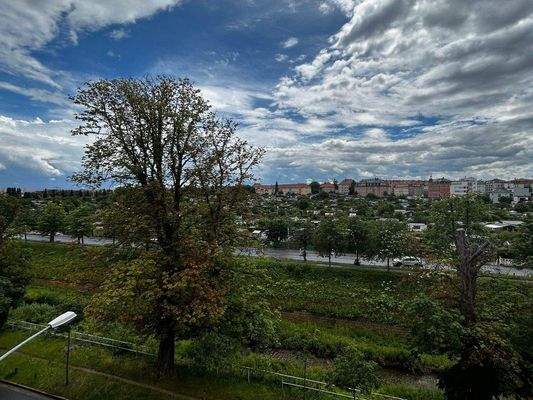 Blick aus dem Fenster