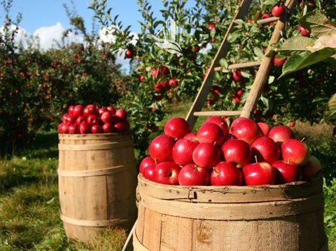 Leifers Grundstücke, Leifers Grundstück kaufen