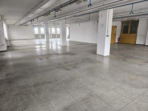 Gerlingen Halle, Gerlingen Hallenfläche