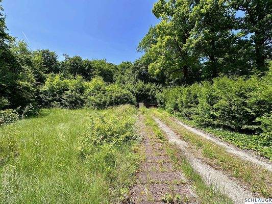 Ansicht Haus Richtung Einfahrt