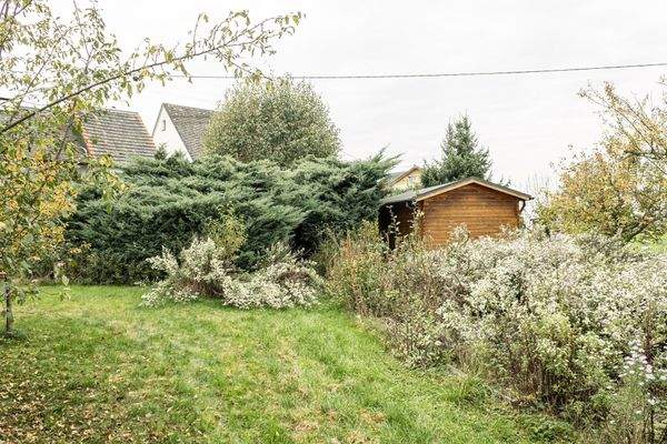 Große Gartenfläche mit Apfelbaum