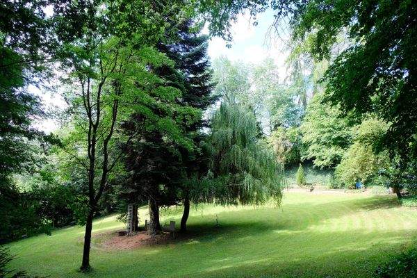 Gartenfläche mit Baumbestand