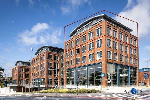 Lüneburg Büros, Büroräume, Büroflächen 