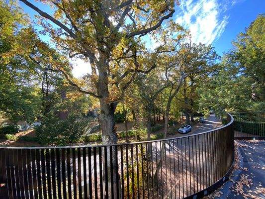 Blick v. Balkon 2.OG.jpg