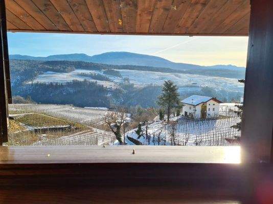 WhatsApp Image 2021-12-20 at 16.06.15