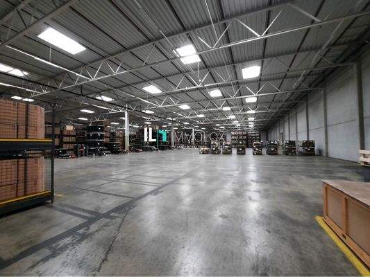 Telefon: 069 50699999