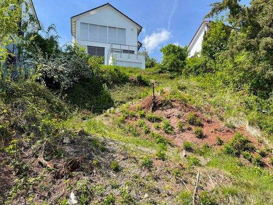 Grundstücksansicht (2).jpg