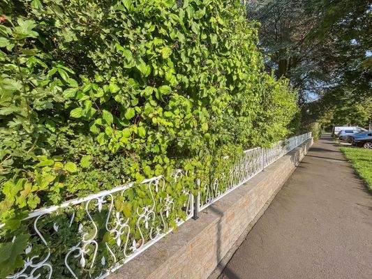 Schmiedeeiserner Gartenzaun ums Grundstück