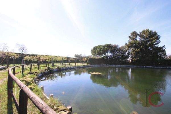 Insel mit Ferienhaus La Valle da pesca (37)