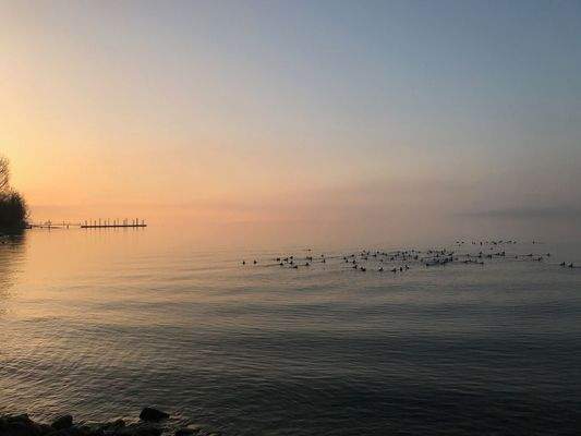 Genießen Sie den See!