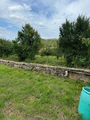 9 separater Garten (5)