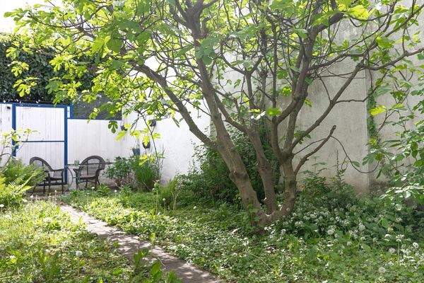 Garten mit Baumbestand 