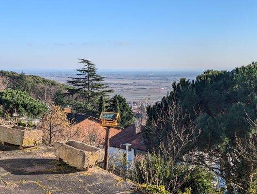 Blick von der Terrasse