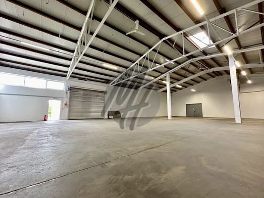 INFOS UNTER: 06171-586000