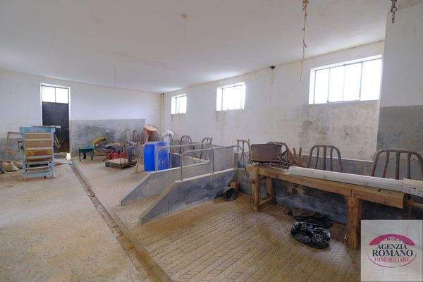 rif 1504(Copy64).jpg