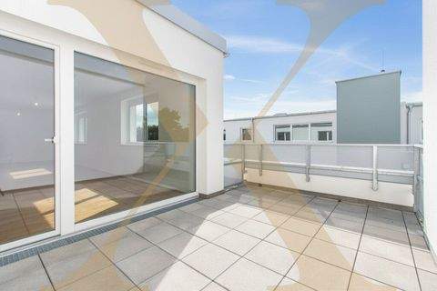 St. Pölten Wohnungen, St. Pölten Wohnung mieten