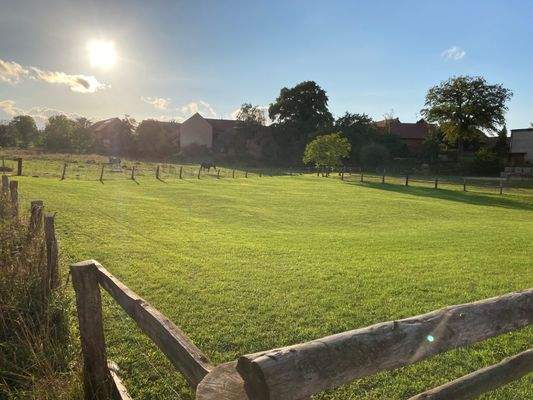 Grasleben OT Querenhorst (1 GS_ Bindestraße) mit Blick auf Weide
