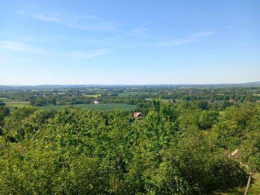 Fernblick