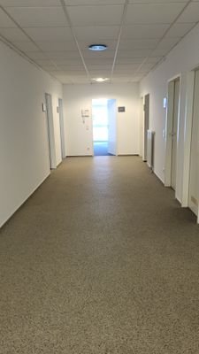 20241025_143256.jpg