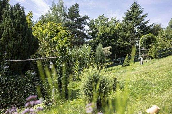 Garten hinter dem Haus