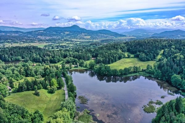 Aufnahme Drohne Richtung Halleggerteiche