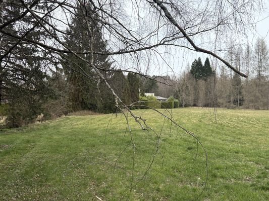 diapovente-maison-secteur-bitche-EST4172_286605.jp