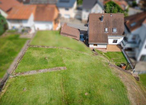 Ansicht Garten und Rückseite