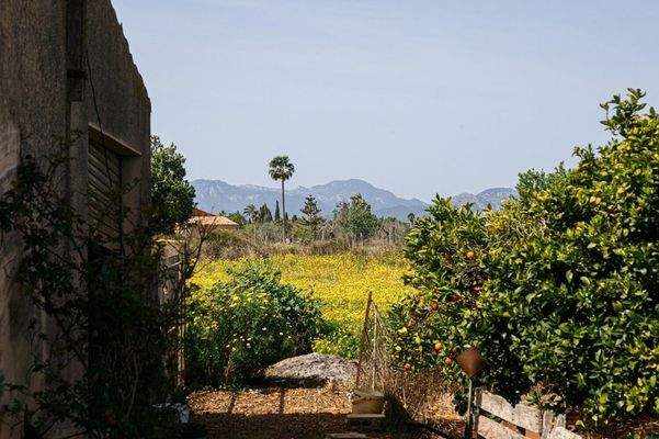 Garten mit Blick auf die Berge 