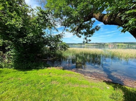 Grundstück am Obertrumer See