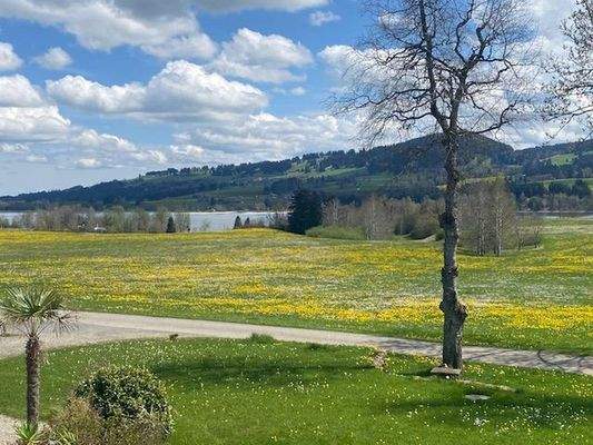 Naturparadies mit Weitblick