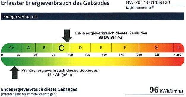 Auszug aus dem Energieausweis