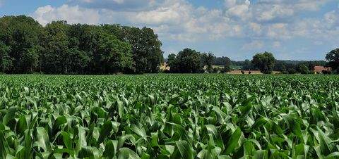 Putlitz Bauernhöfe, Landwirtschaft, Putlitz Forstwirtschaft