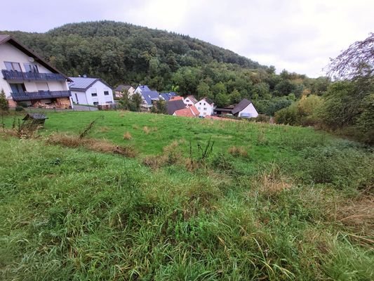 Blick über das Grundstück