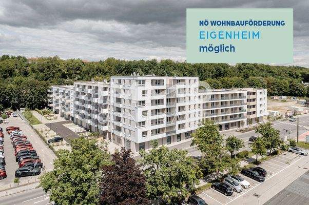 20240529-Steingötterhof Außenaufnahmen-©6B47-4