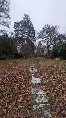 Gartenaussicht