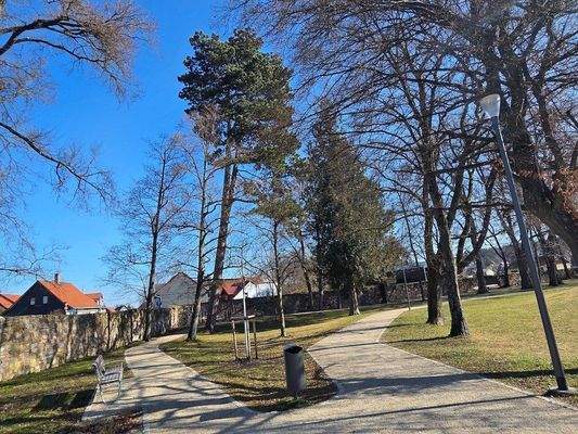 2531132-Lars-Pitan-Immobilien-Group-GmbH