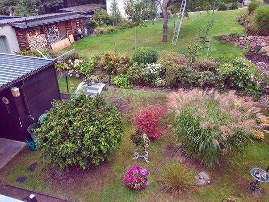 Blick in den Garten vom OG