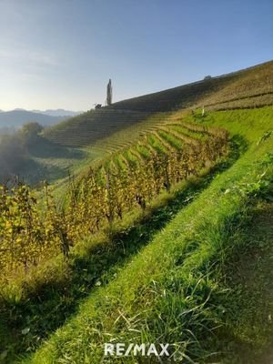 SilberbergWeinberg
