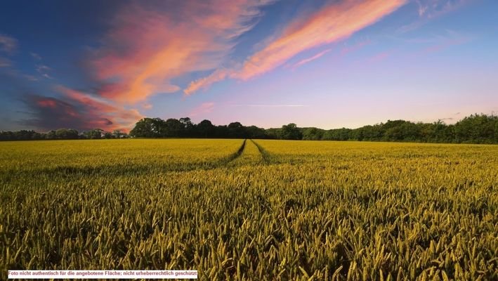 Foto nicht authentisch für die angebotene Fläche