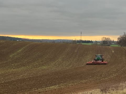 Alt Bukow Bauernhöfe, Landwirtschaft, Alt Bukow Forstwirtschaft