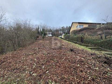 Lieser Grundstücke, Lieser Grundstück kaufen