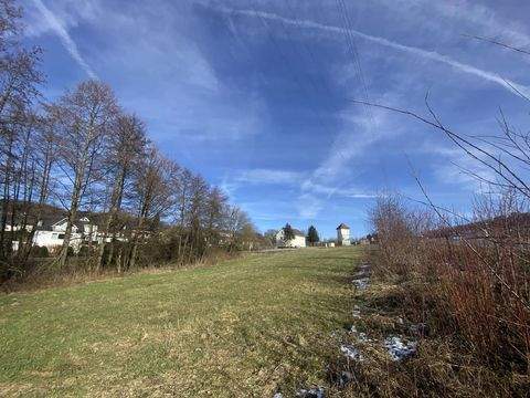 Sundern Industrieflächen, Lagerflächen, Produktionshalle, Serviceflächen