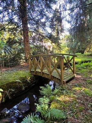 Aussen Brücke h.jpg