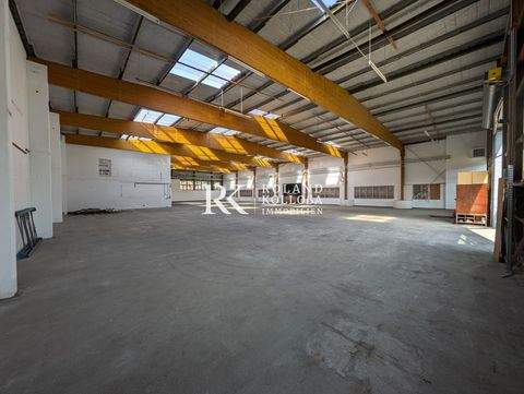 Wedel Halle, Wedel Hallenfläche