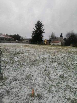 404937998_237928965940104_9171284947017570608_n.jp