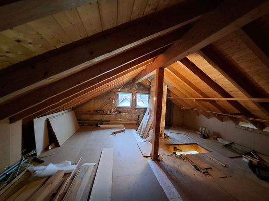 Dachspitz: Ausbaureserve- 1