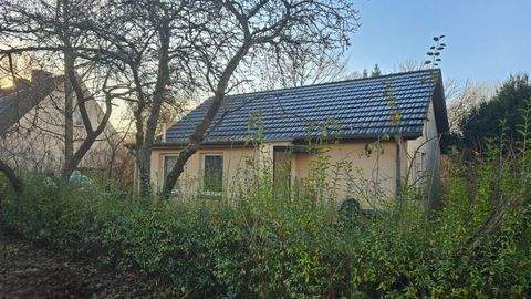 Süderholz Häuser, Süderholz Haus kaufen