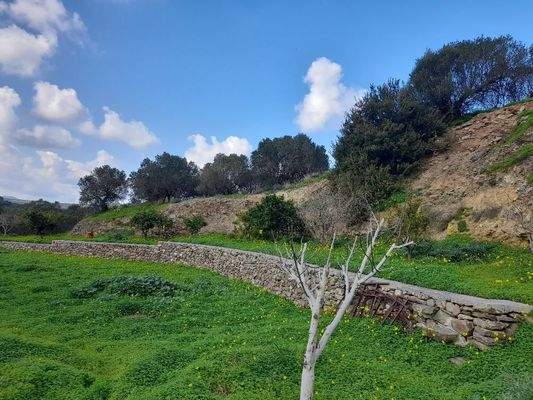 Kreta, Kato Episkopi: Traditionelles neu gebautes Steinhaus zum Verkauf