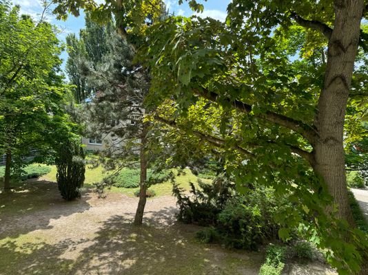 Ausblick zum Innenhof - Ansicht 1